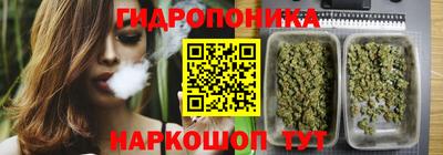 PSILOCYBIN Дубна