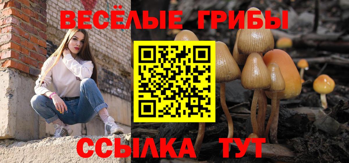 ТГК Елизово