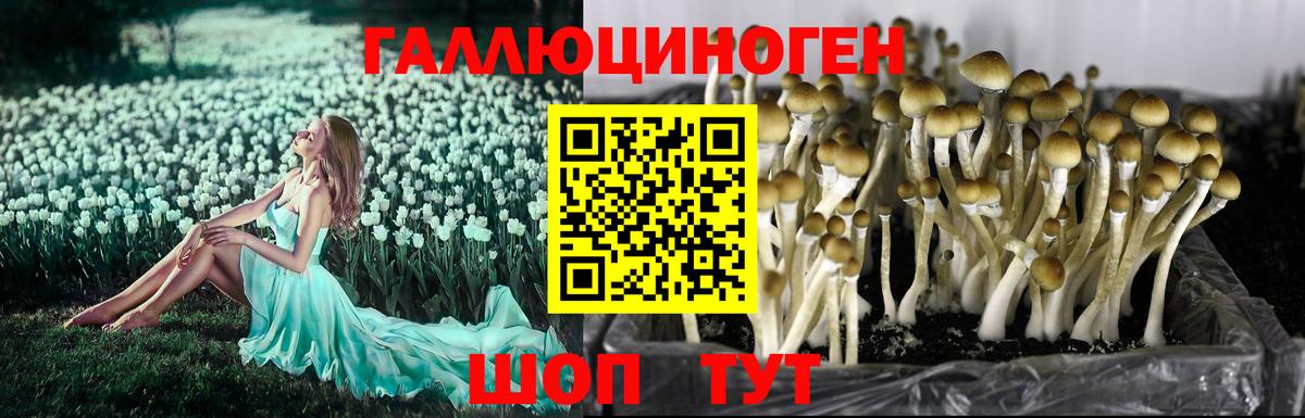 Псилоцибиновые грибы Magic Shrooms Елизово