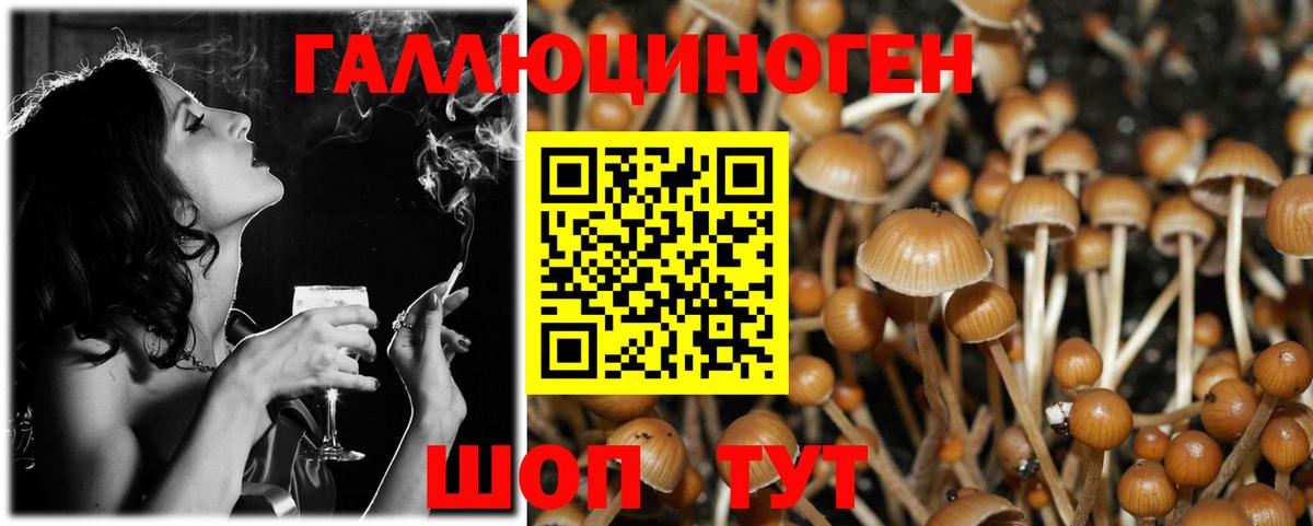 Псилоцибиновые грибы Psilocybe  Галлюциногенные грибы мухоморы  Елизово  Вход с VPN 